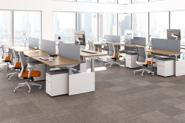 kinex-sit-to-stand-benching kinex-sit-to-stand-benching