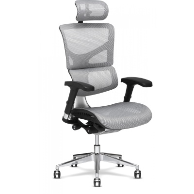 x-chair x-chair
