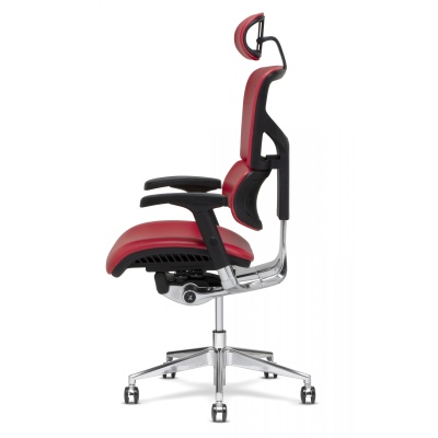 x-chair x-chair